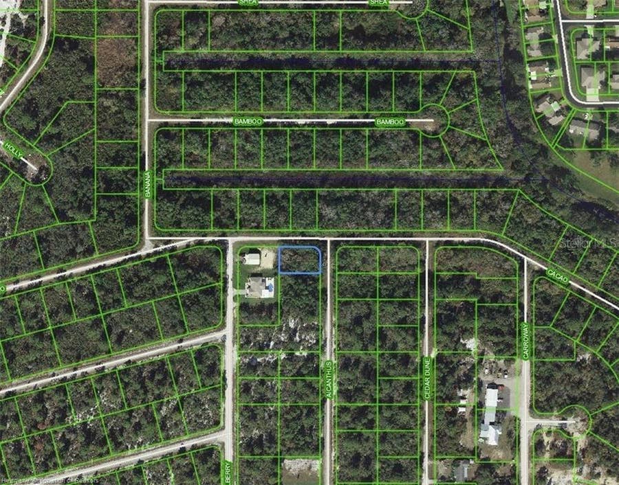 Property photo for 1218 AILANTHUS STREET, Lake Placid, FL