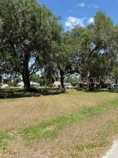 Property photo for 0 RIVER OAK DRIVE, Fort Meade, FL
