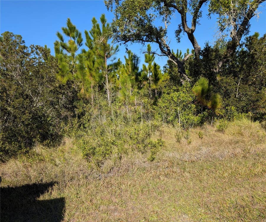 Property photo for 0 TROPICANA DRIVE, Indian Lake Estates, FL