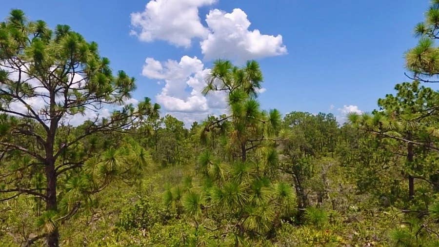 Property photo for 113 BOUGAINVILLE DRIVE, Indian Lake Estates, FL