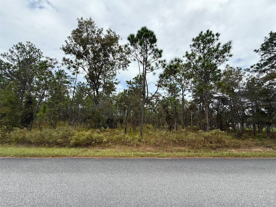 Property photo for NW AMBERJACK AVENUE, Dunnellon, FL