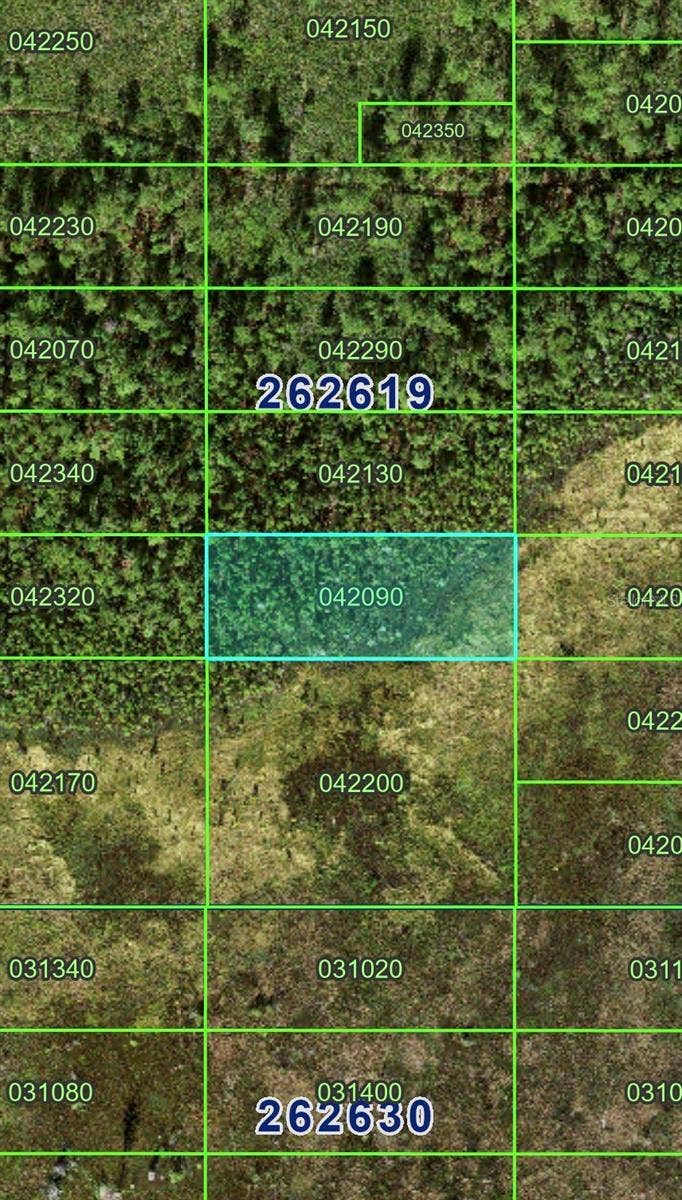 Property photo for 0, Polk City, FL