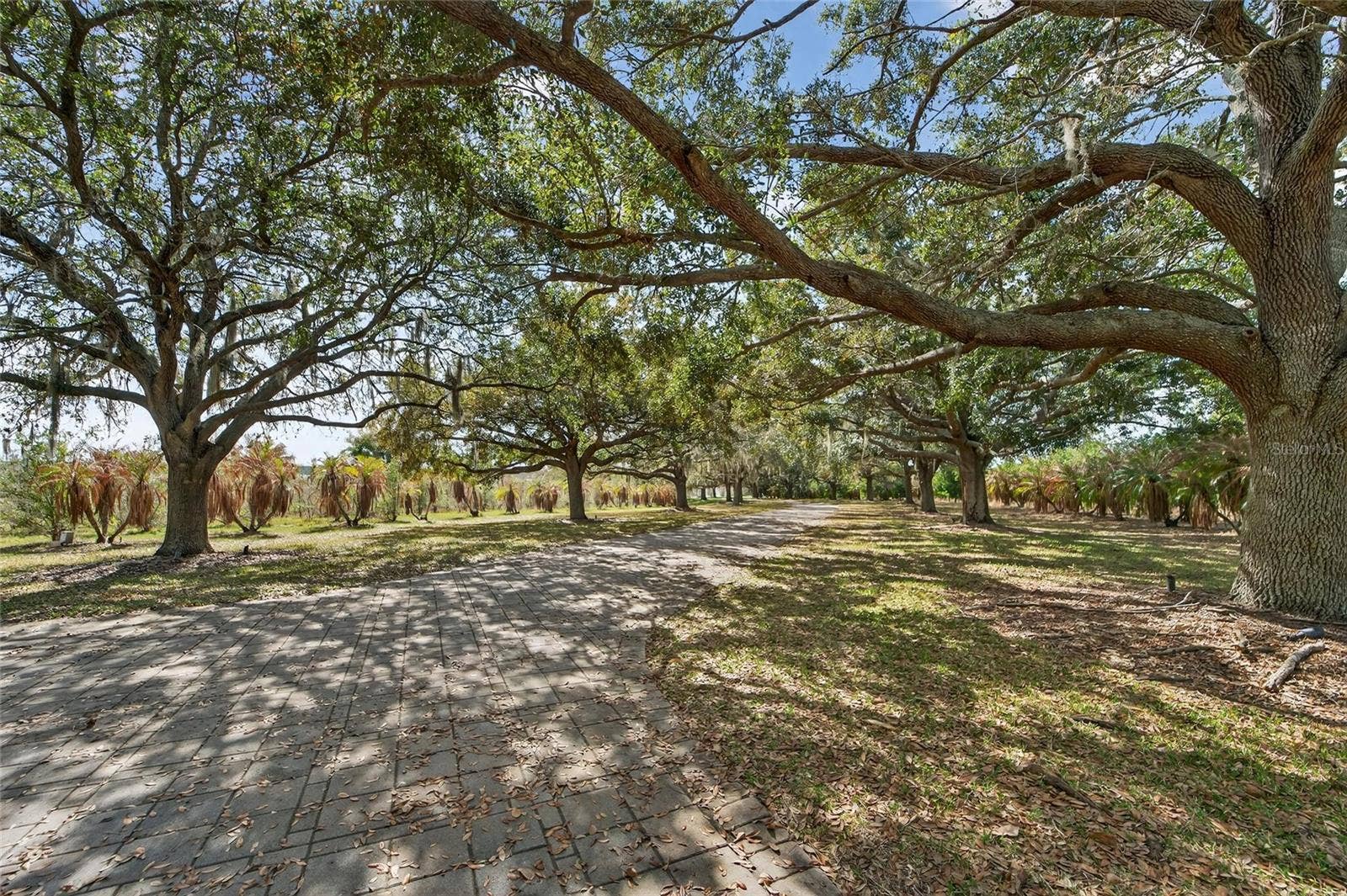 501 ADAMS BARN ROAD, Auburndale, FL 33823 Walking paths throughout this estate