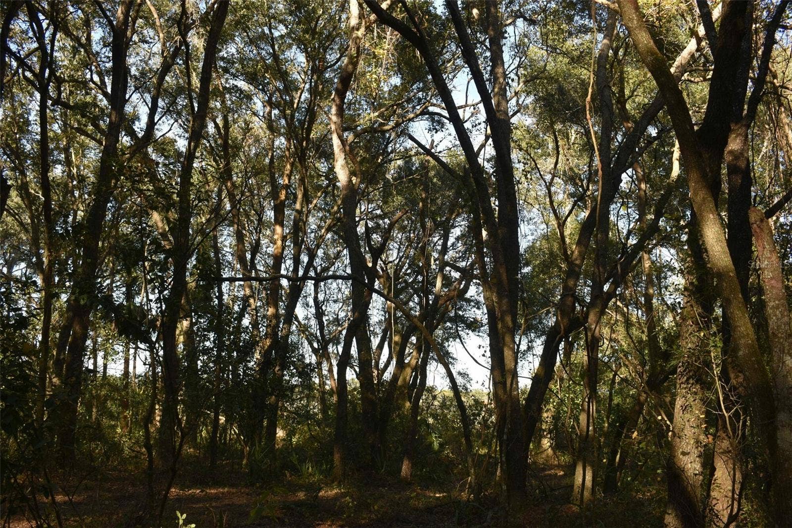13800 COUNTY ROAD 450, Umatilla, FL 32784 13800 COUNTY ROAD 450, Umatilla, FL 32784