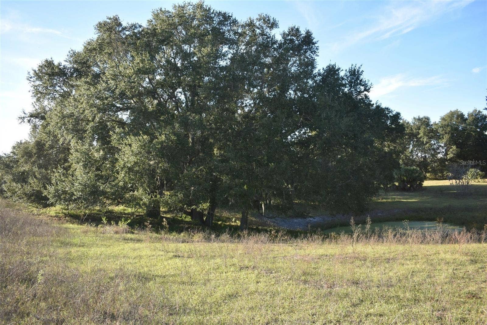 13800 COUNTY ROAD 450, Umatilla, FL 32784 13800 COUNTY ROAD 450, Umatilla, FL 32784