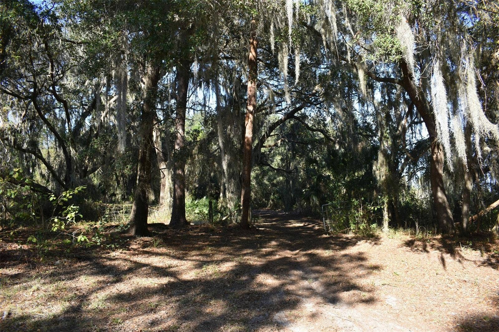 13800 COUNTY ROAD 450, Umatilla, FL 32784 13800 COUNTY ROAD 450, Umatilla, FL 32784