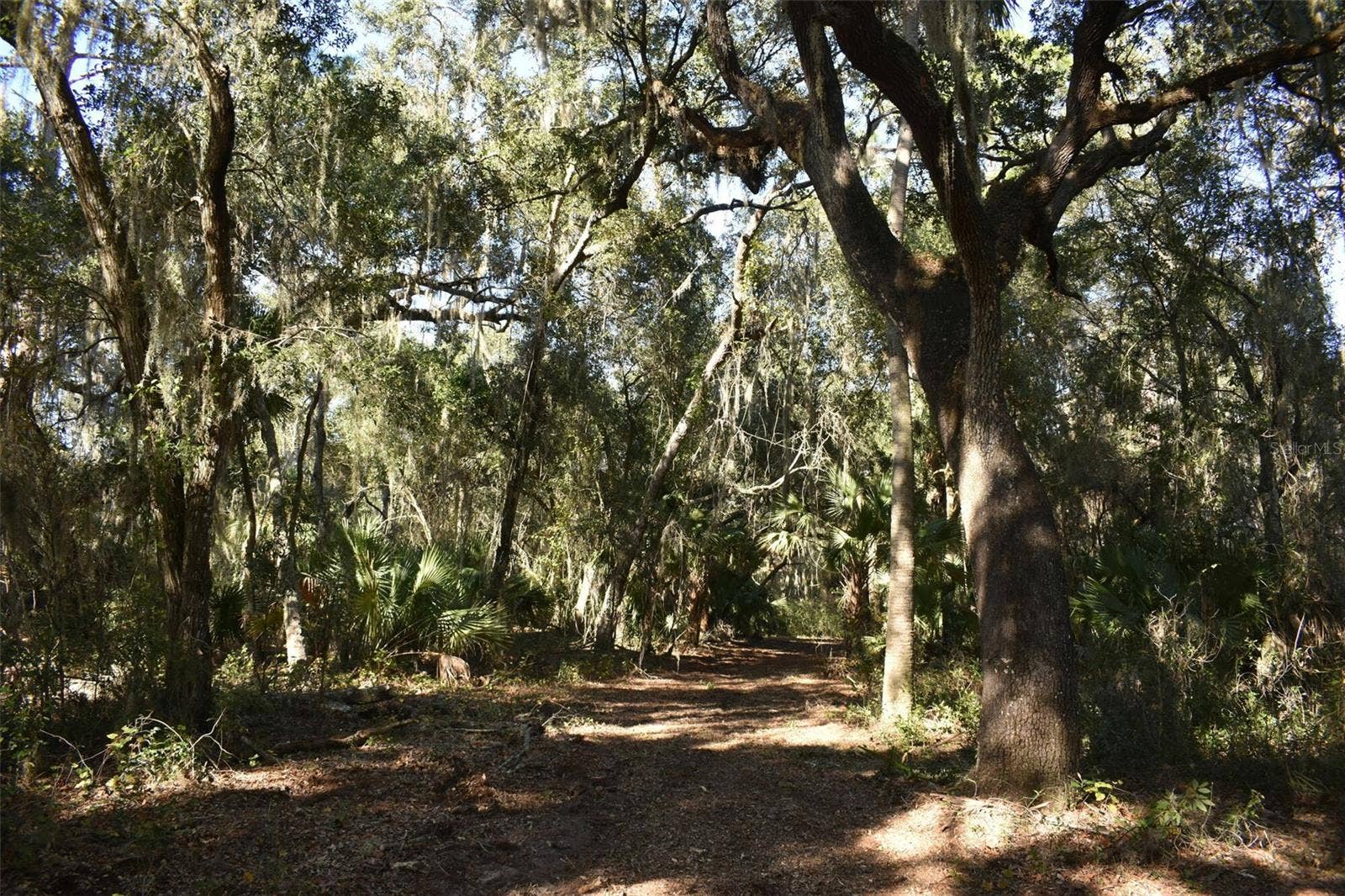 13800 COUNTY ROAD 450, Umatilla, FL 32784 13800 COUNTY ROAD 450, Umatilla, FL 32784