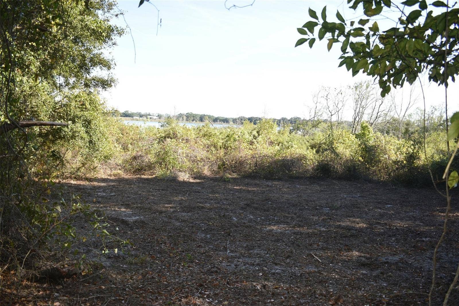 13800 COUNTY ROAD 450, Umatilla, FL 32784 13800 COUNTY ROAD 450, Umatilla, FL 32784