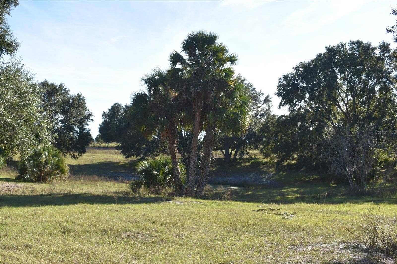 13800 COUNTY ROAD 450, Umatilla, FL 32784 13800 COUNTY ROAD 450, Umatilla, FL 32784