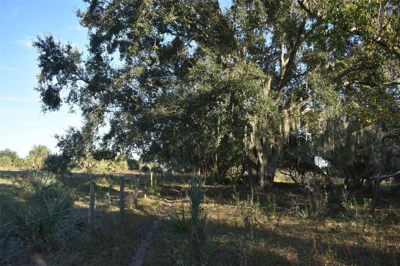 13800 COUNTY ROAD 450, Umatilla, FL 32784 13800 COUNTY ROAD 450, Umatilla, FL 32784