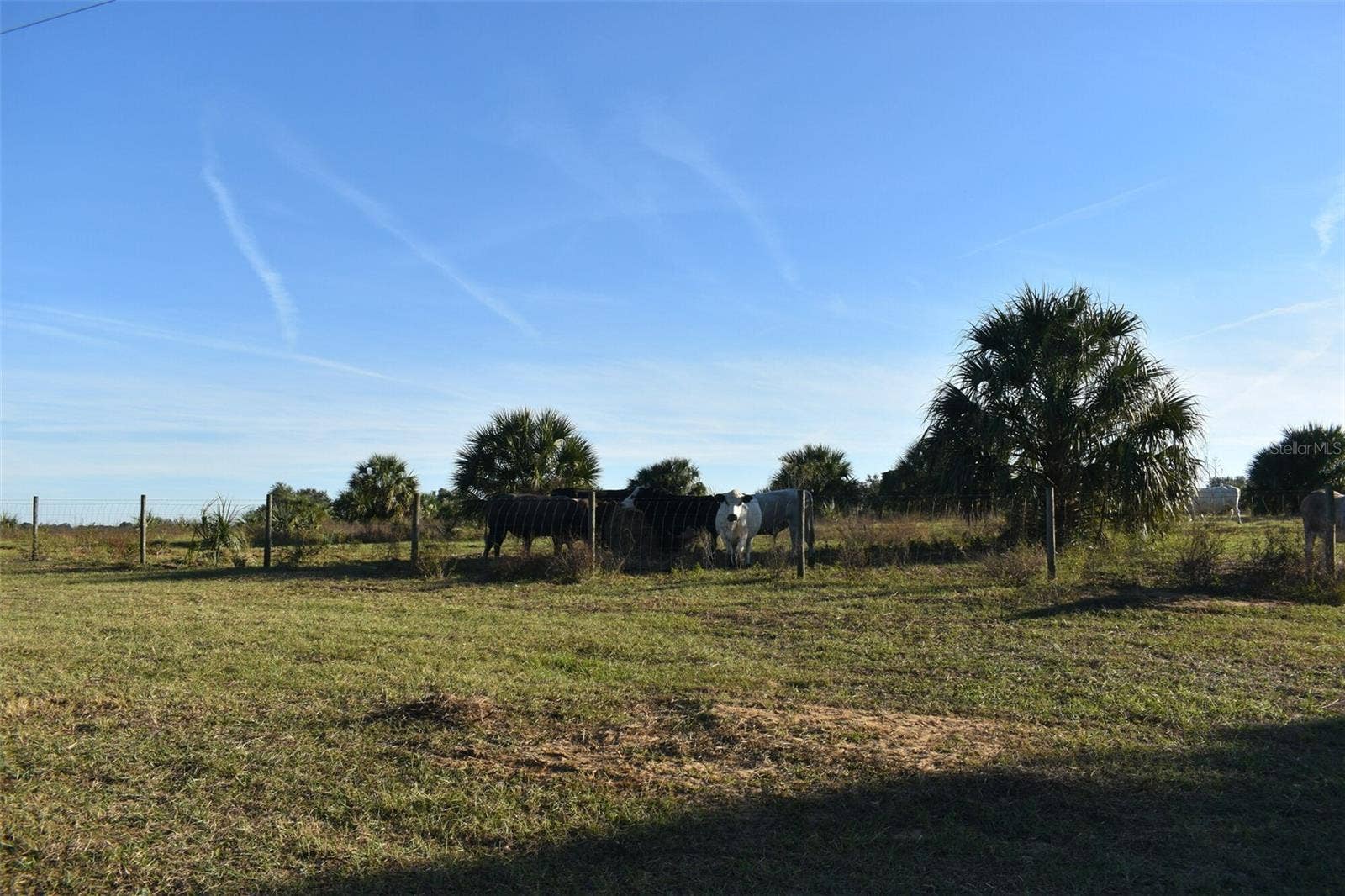 13800 COUNTY ROAD 450, Umatilla, FL 32784 13800 COUNTY ROAD 450, Umatilla, FL 32784