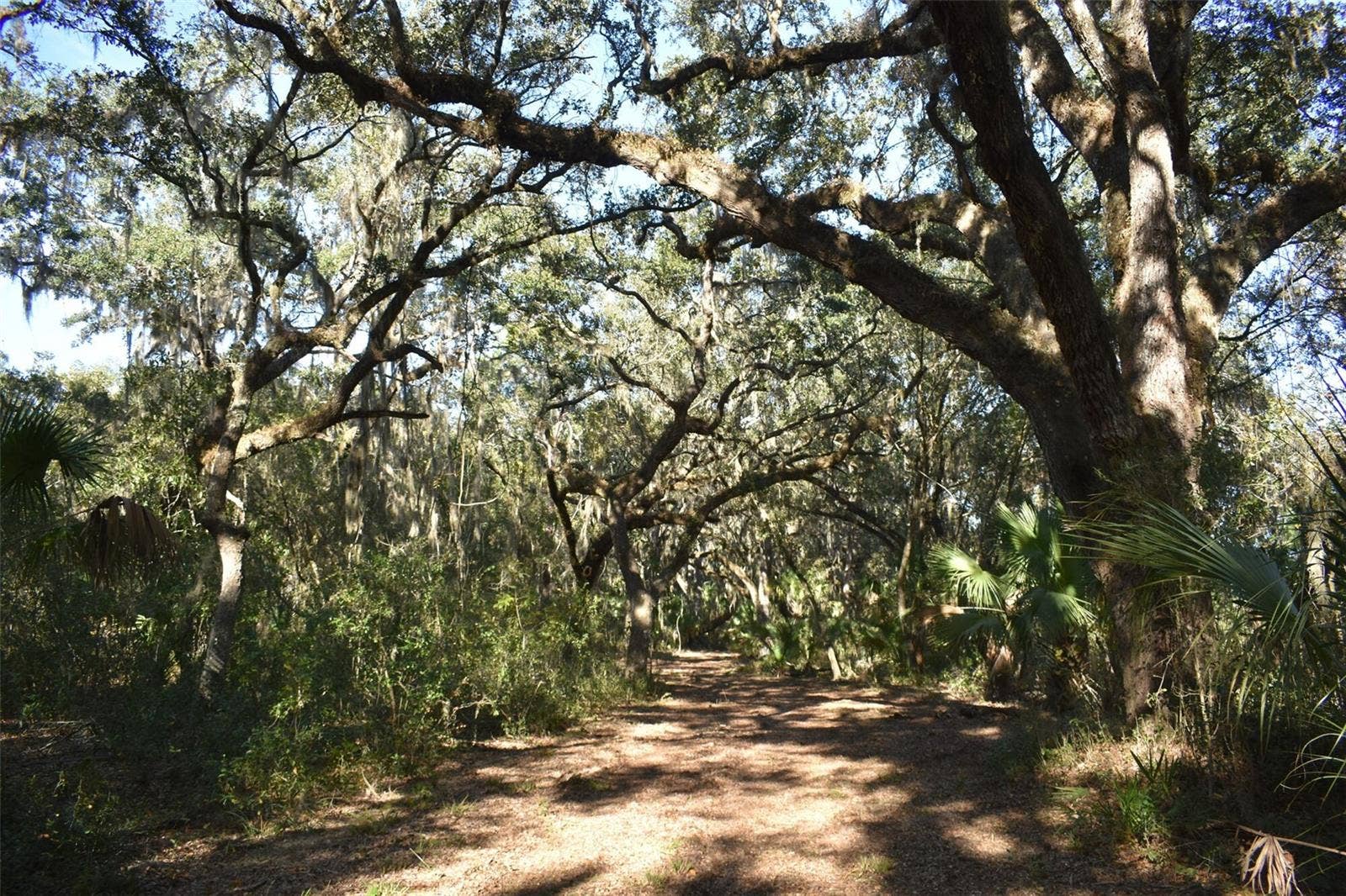 13800 COUNTY ROAD 450, Umatilla, FL 32784 13800 COUNTY ROAD 450, Umatilla, FL 32784