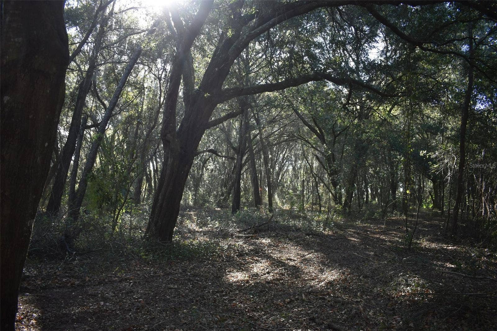 13800 COUNTY ROAD 450, Umatilla, FL 32784 13800 COUNTY ROAD 450, Umatilla, FL 32784