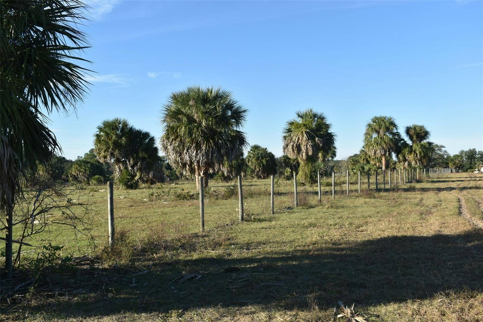 13800 COUNTY ROAD 450, Umatilla, FL 32784 13800 COUNTY ROAD 450, Umatilla, FL 32784