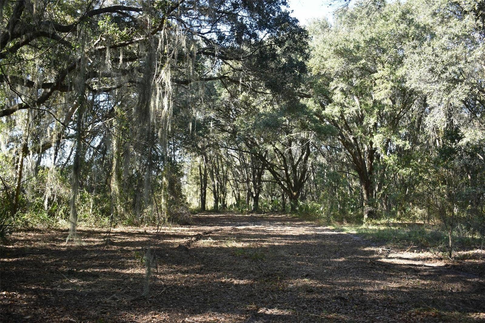 13800 COUNTY ROAD 450, Umatilla, FL 32784 13800 COUNTY ROAD 450, Umatilla, FL 32784