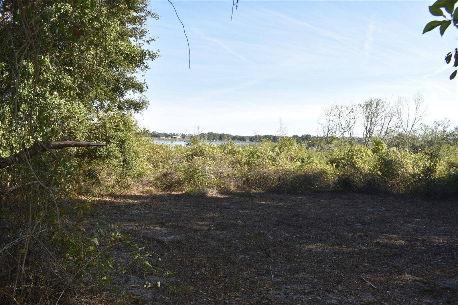 13800 COUNTY ROAD 450, Umatilla, FL 32784 13800 COUNTY ROAD 450, Umatilla, FL 32784