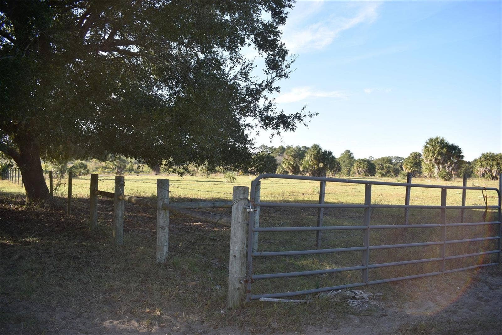 13800 COUNTY ROAD 450, Umatilla, FL 32784 13800 COUNTY ROAD 450, Umatilla, FL 32784