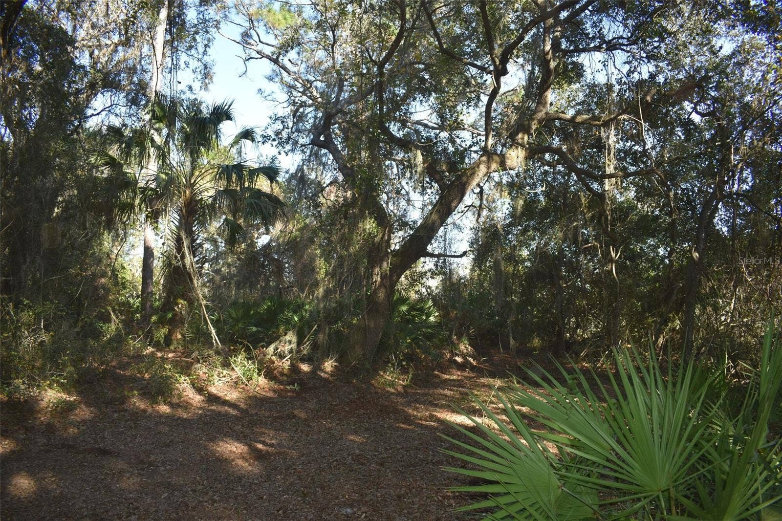 13800 COUNTY ROAD 450, Umatilla, FL 32784 13800 COUNTY ROAD 450, Umatilla, FL 32784
