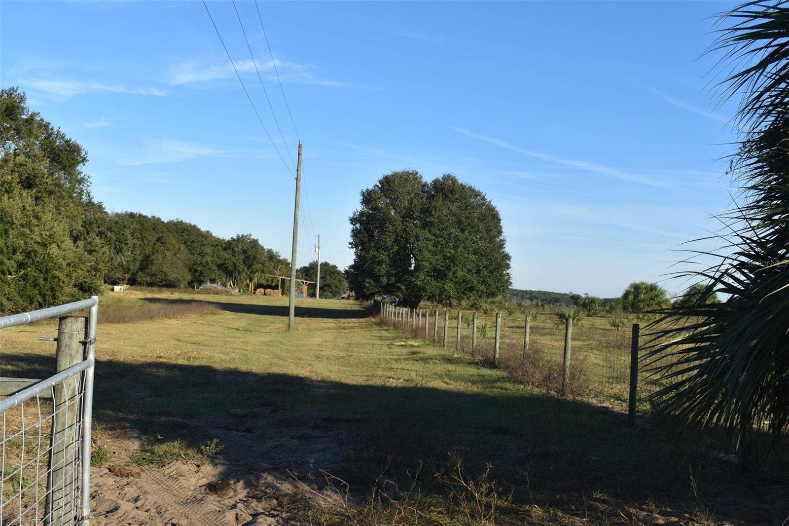 13800 COUNTY ROAD 450, Umatilla, FL 32784 13800 COUNTY ROAD 450, Umatilla, FL 32784