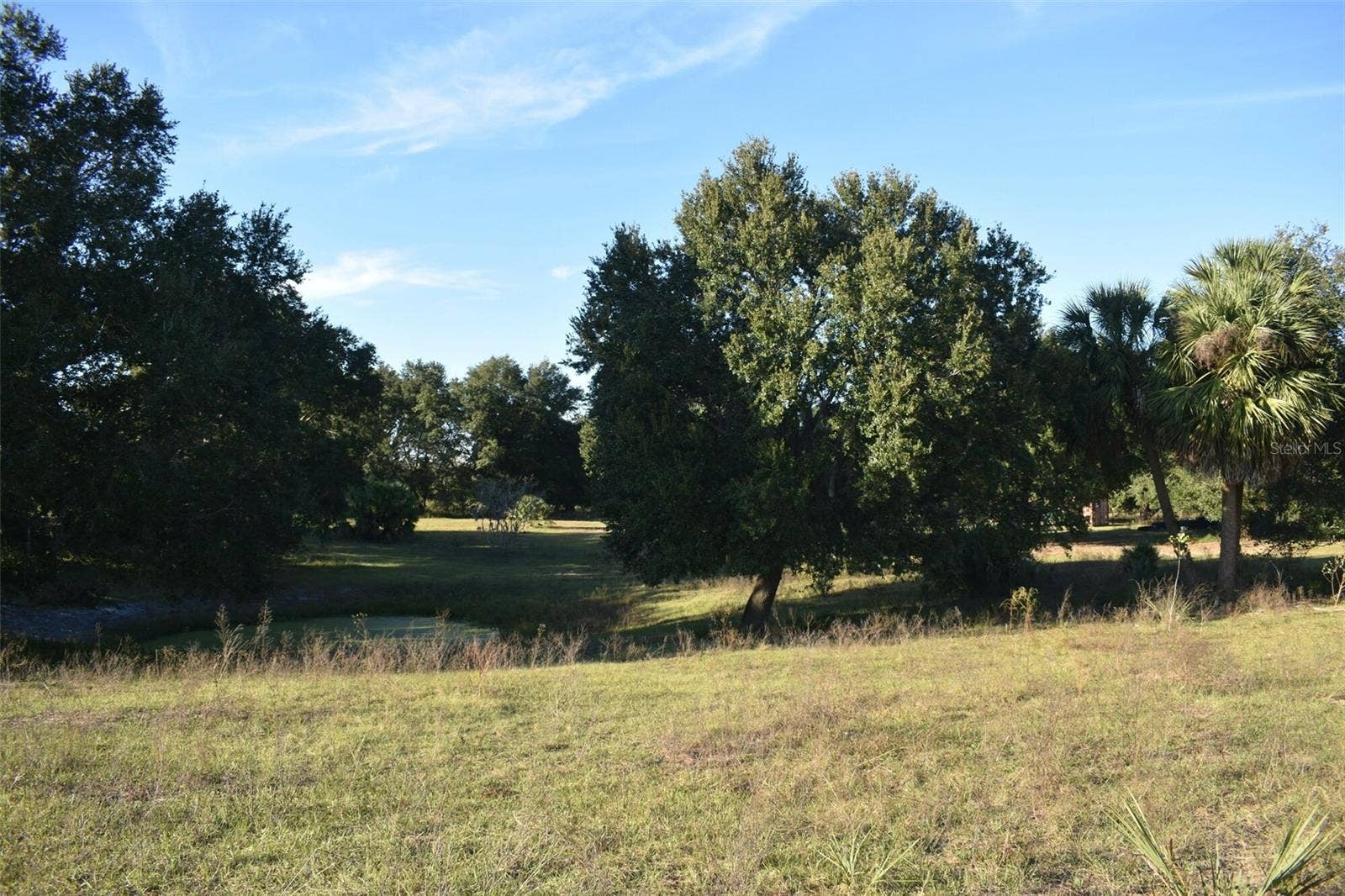 13800 COUNTY ROAD 450, Umatilla, FL 32784 13800 COUNTY ROAD 450, Umatilla, FL 32784