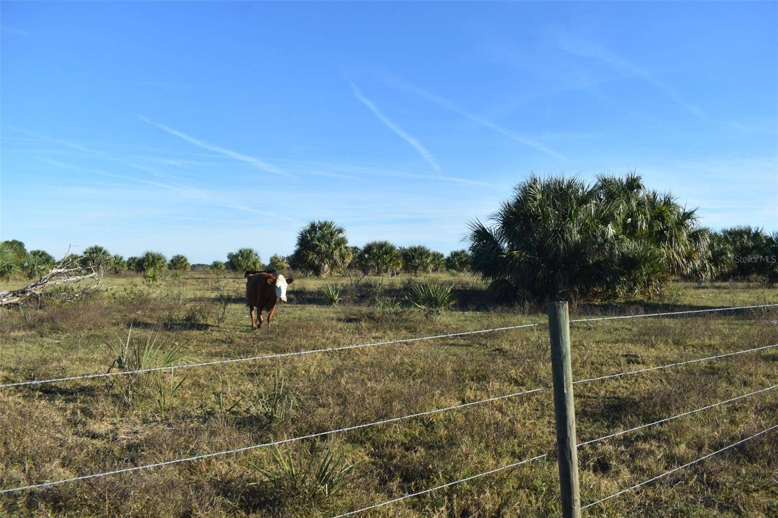 13800 COUNTY ROAD 450, Umatilla, FL 32784 13800 COUNTY ROAD 450, Umatilla, FL 32784