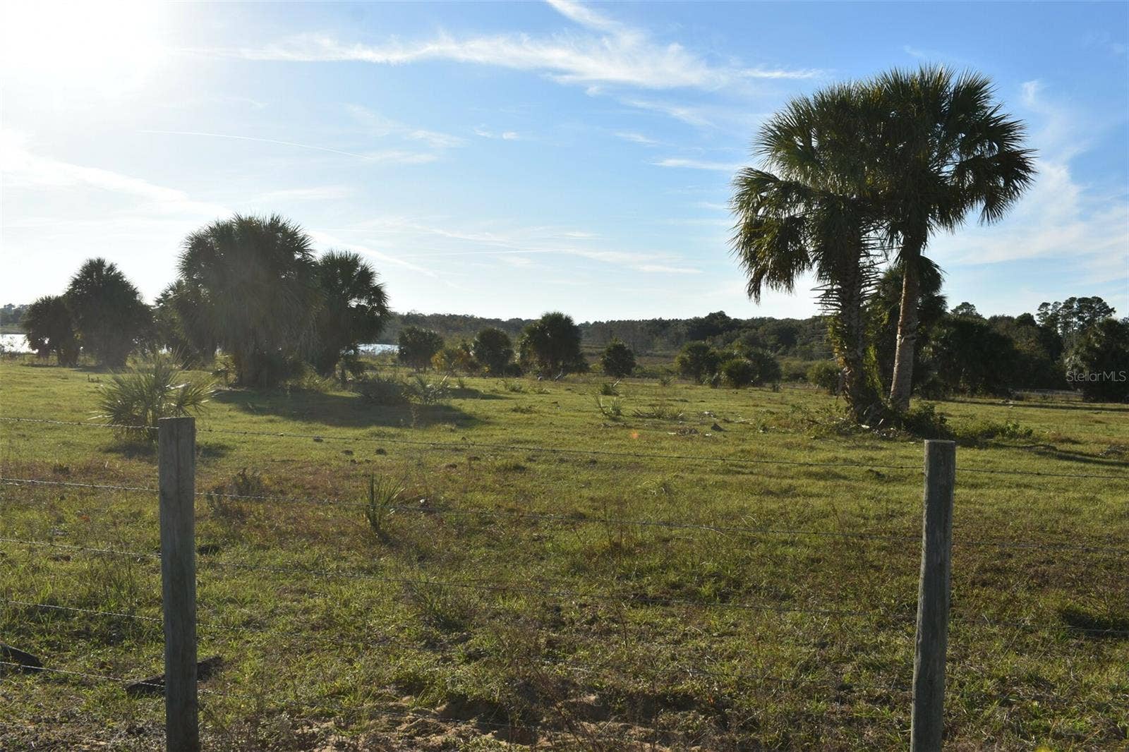 13800 COUNTY ROAD 450, Umatilla, FL 32784 13800 COUNTY ROAD 450, Umatilla, FL 32784