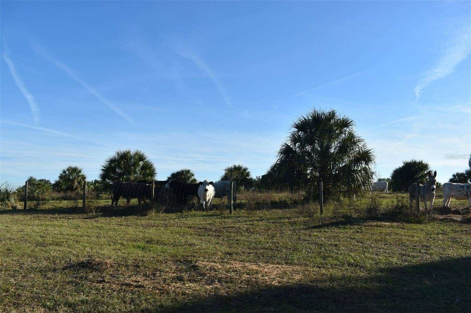 13800 COUNTY ROAD 450, Umatilla, FL 32784 13800 COUNTY ROAD 450, Umatilla, FL 32784