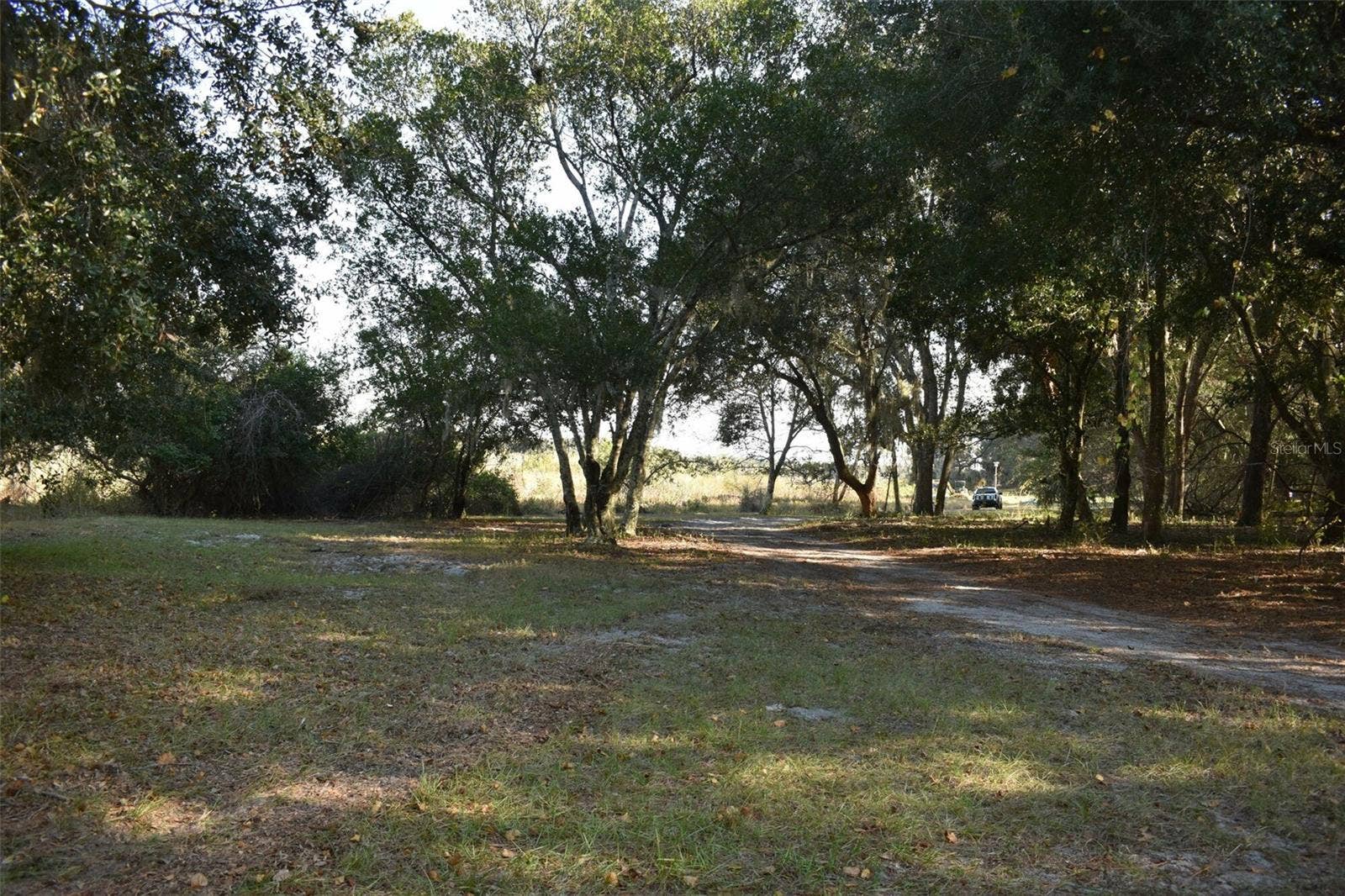 13800 COUNTY ROAD 450, Umatilla, FL 32784 13800 COUNTY ROAD 450, Umatilla, FL 32784
