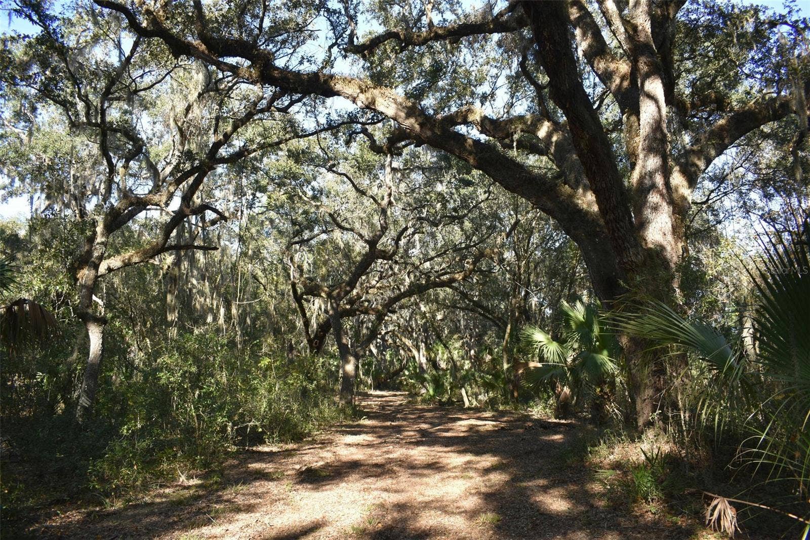 13800 COUNTY ROAD 450, Umatilla, FL 32784 13800 COUNTY ROAD 450, Umatilla, FL 32784