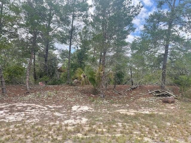 Property photo for 1342 HOMOSASSA DRIVE, Poinciana, FL