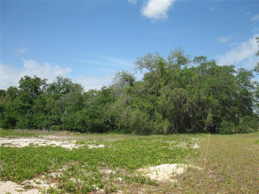 Property photo for 4199 JACARANDA DRIVE, Lake Wales, FL