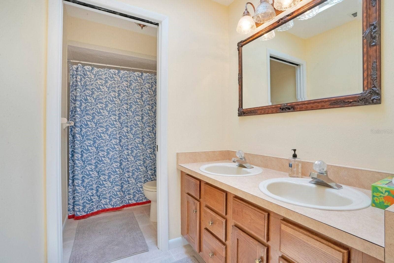 133 VAN FLEET COURT, Auburndale, FL 33823 133 VAN FLEET COURT, Auburndale, FL 33823