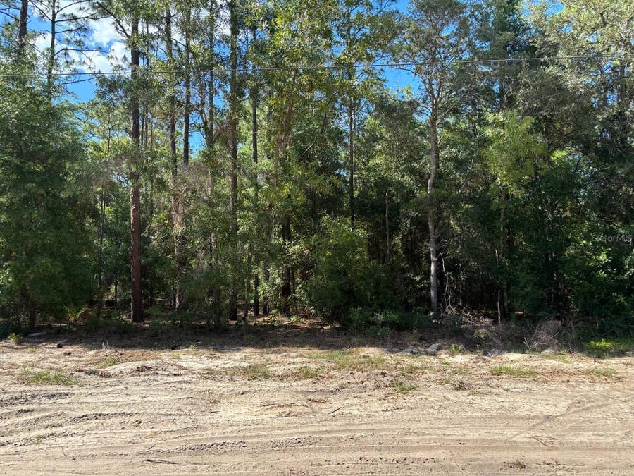 Property photo for 0A SW 93RD PLACE, Dunnellon, FL