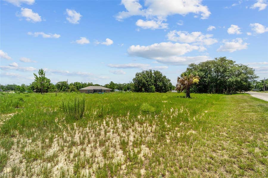 Property photo for 0 MALAUKA LOOP, Ocklawaha, FL