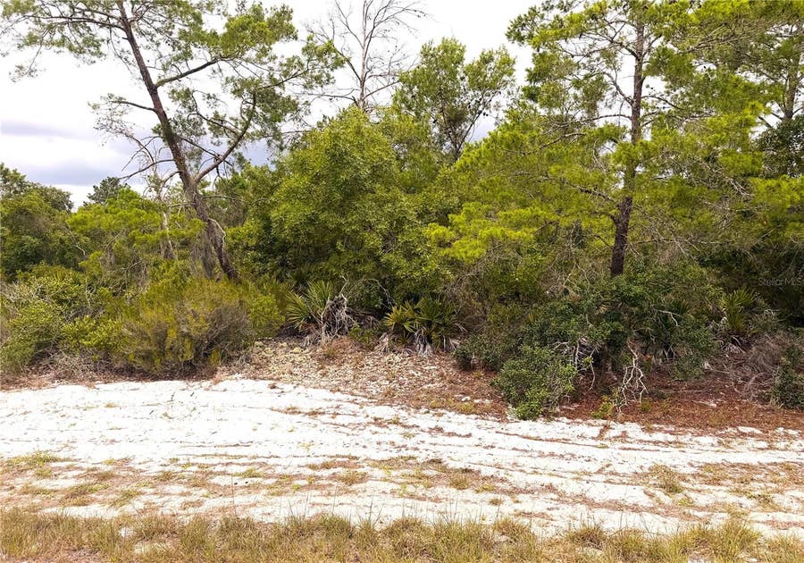 Property photo for 209 COOLIDGE AVENUE NE, Lake Placid, FL