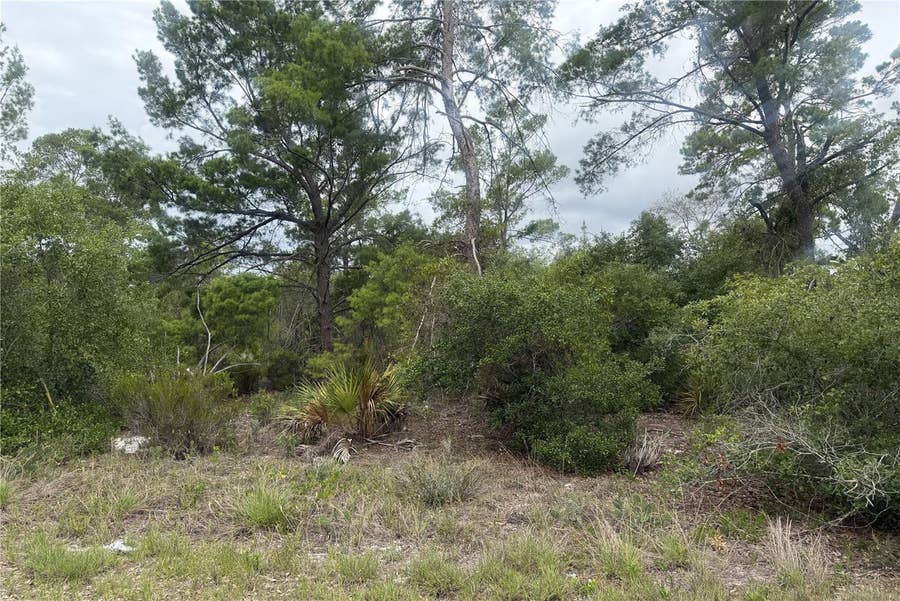 Property photo for 105 HOOVER AVENUE NE, Lake Placid, FL