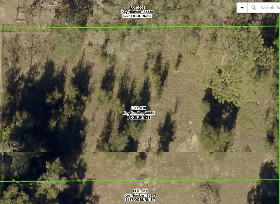 Property photo for 0 OGBURN STREET, Brooksville, FL