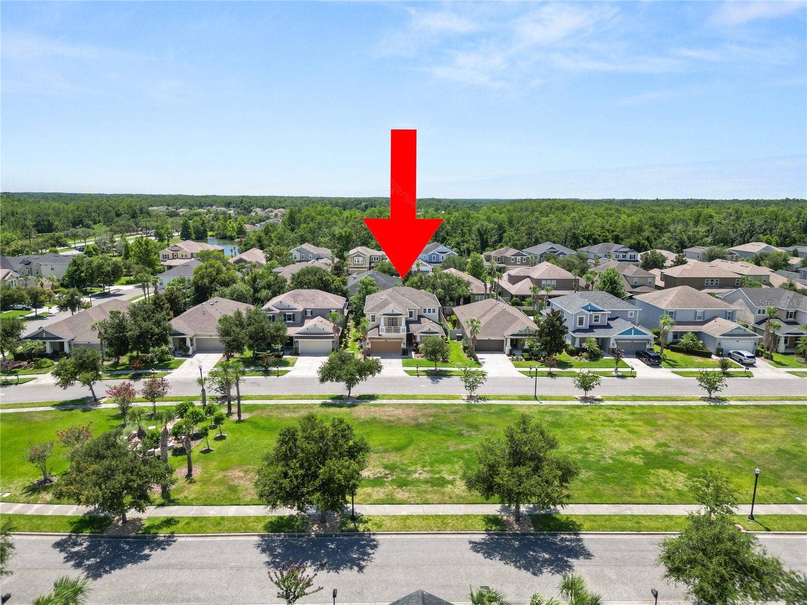 8775 SENTIERO DRIVE, Land O Lakes, FL 34637 8775 SENTIERO DRIVE, Land O Lakes, FL 34637