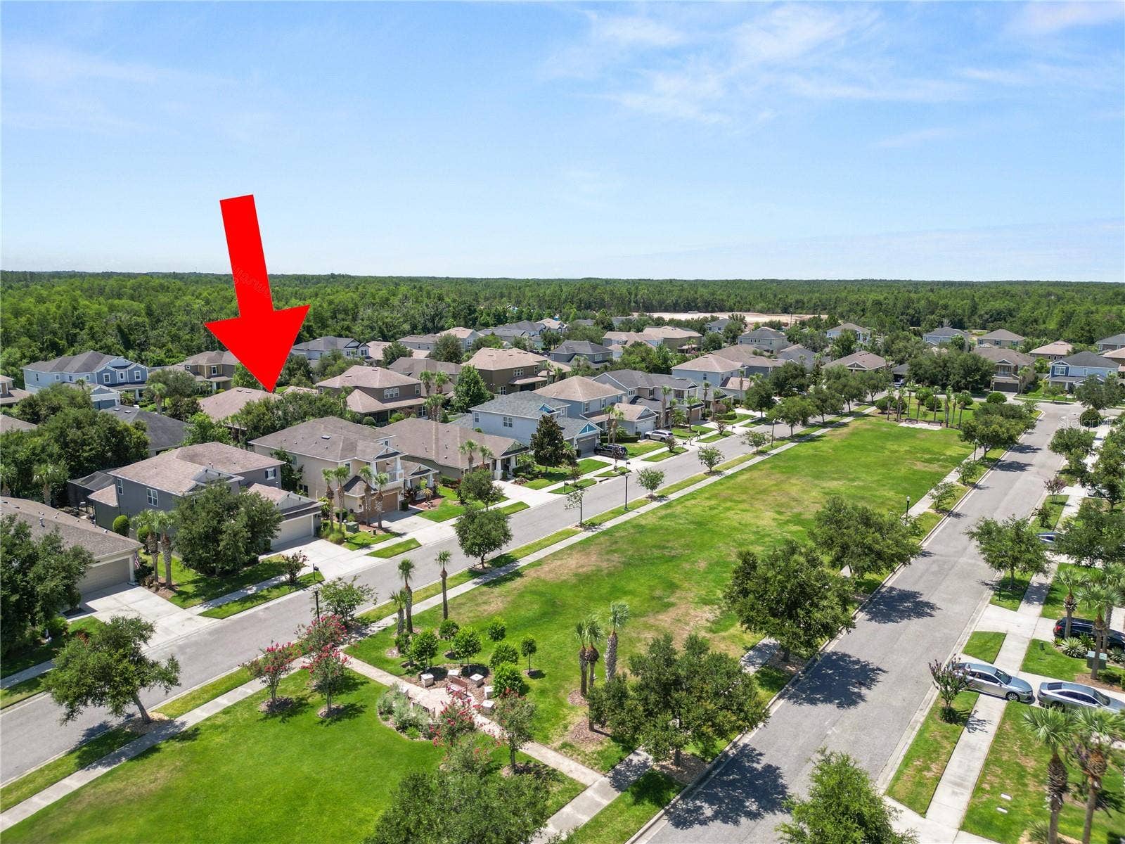 8775 SENTIERO DRIVE, Land O Lakes, FL 34637 8775 SENTIERO DRIVE, Land O Lakes, FL 34637