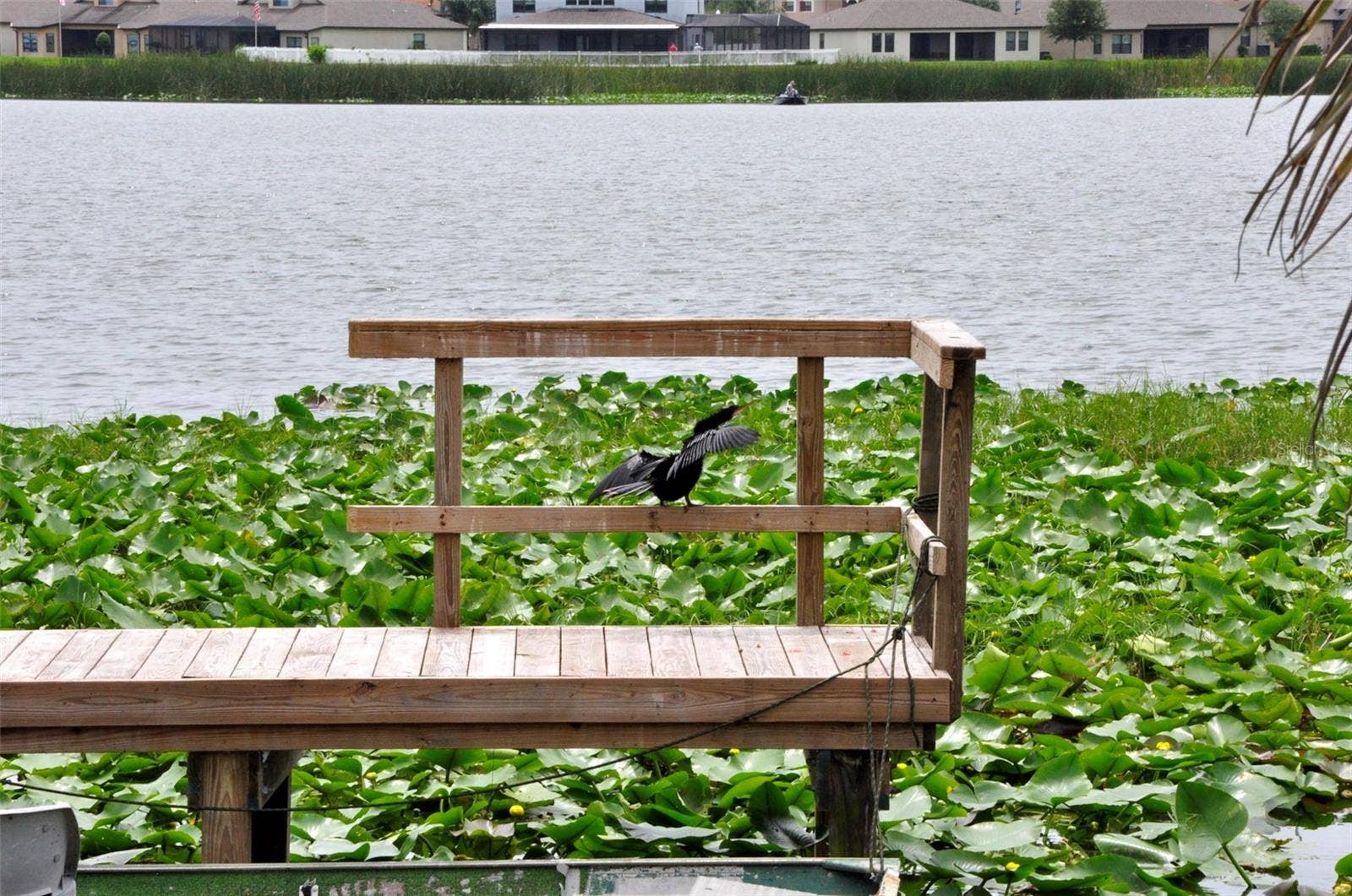 1600 W LAKE PARKER DRIVE, #A25, Lakeland, FL 33805 1600 W LAKE PARKER DRIVE, #A25, Lakeland, FL 33805