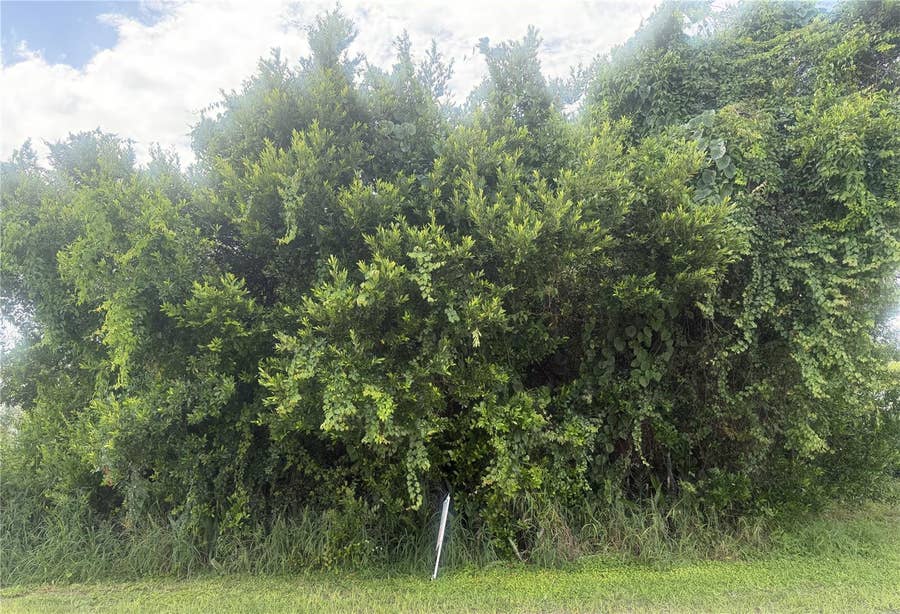 Property photo for 1600 E CLARADGE AVENUE, Avon Park, FL