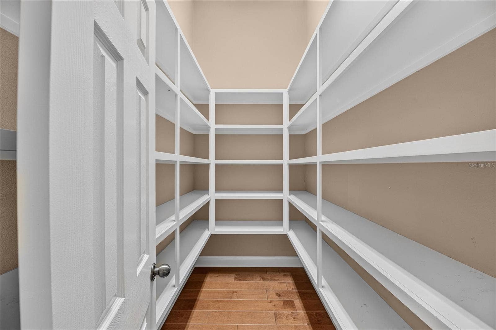 6408 WALKERS GLEN DRIVE, Lakeland, FL 33813 Huge Pantry Closet