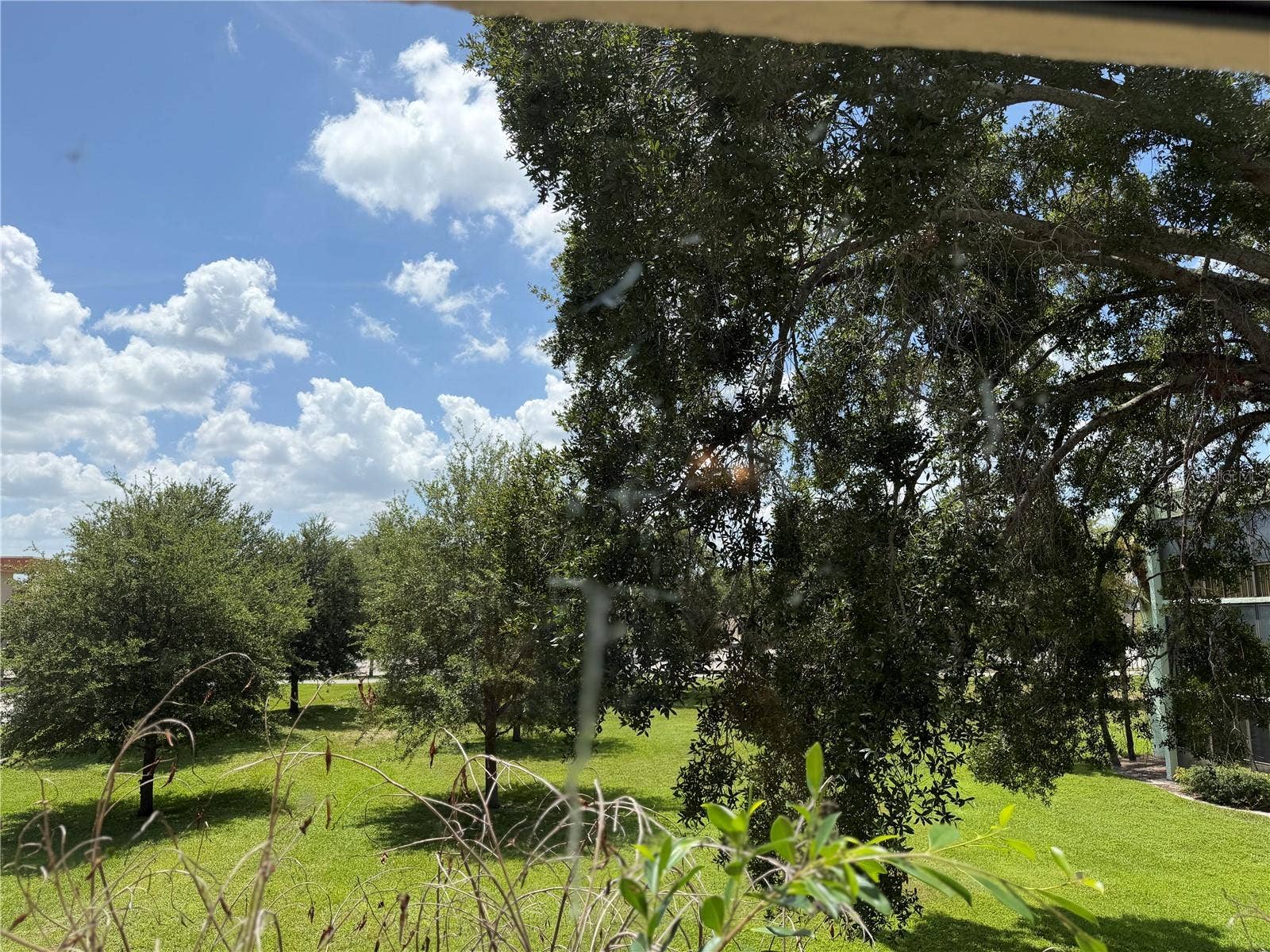 1130 N LAKE PARKER AVENUE, #C229, Lakeland, FL 33805 View from Bedroom 2