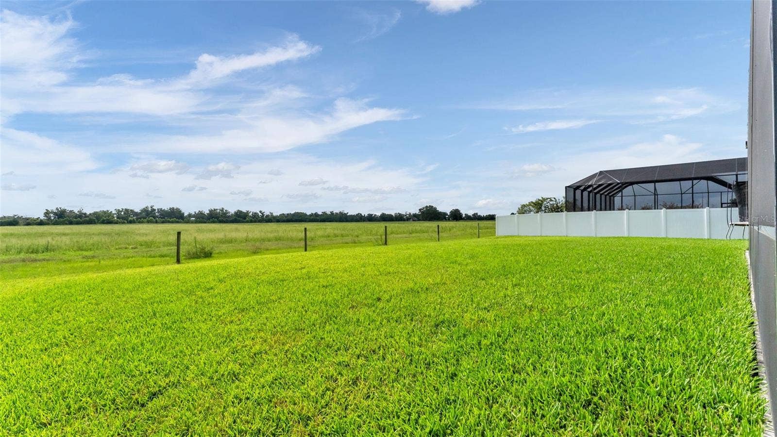 7034 BENTRIDGE DRIVE, Lakeland, FL 33813 Backyard