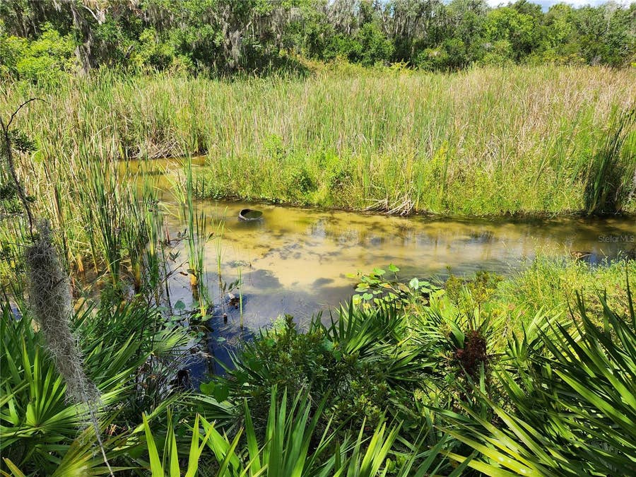 Property photo for DEER ROAD, Frostproof, FL