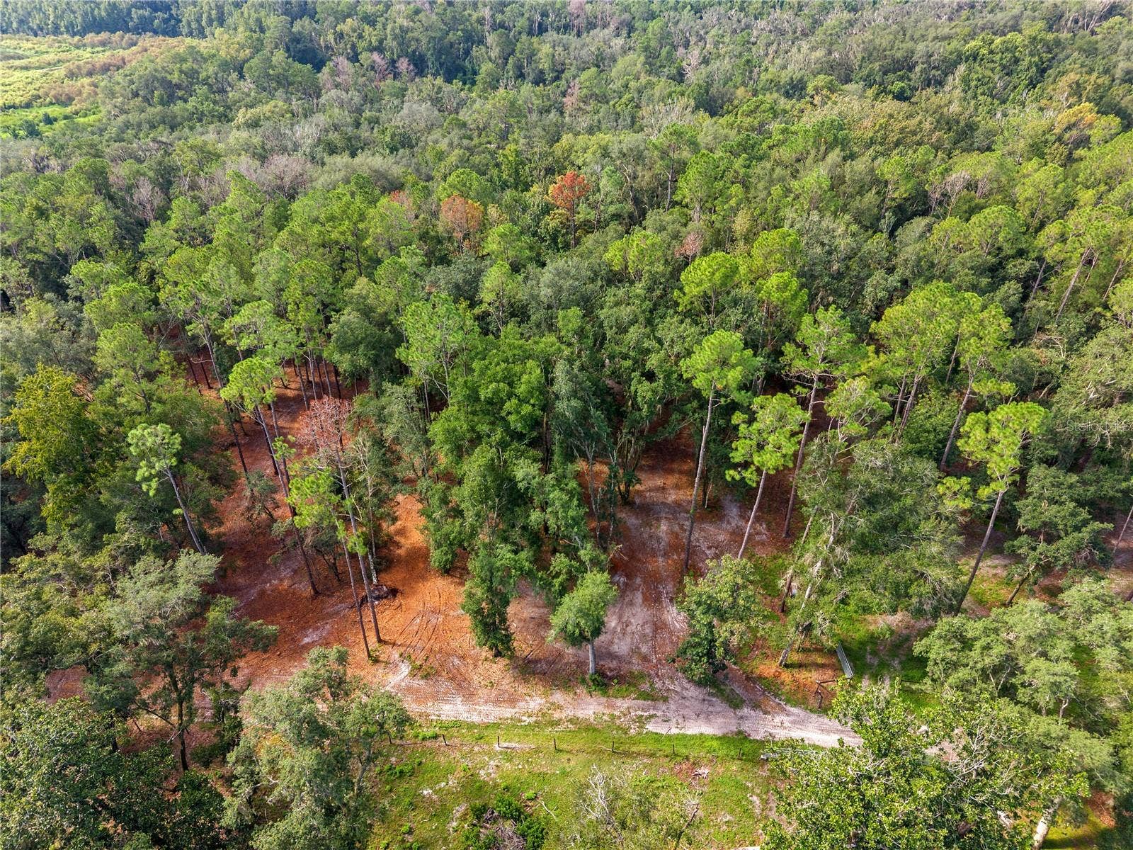 1050 KATIE WOOD TRAIL, Brooksville, FL 34602 1050 KATIE WOOD TRAIL, Brooksville, FL 34602