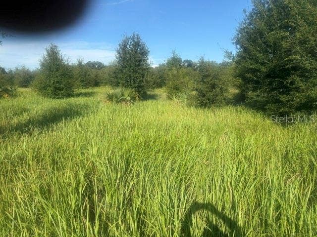 WELCOME ROAD, #Lot 1, Lithia, FL 33547 Lot 1
