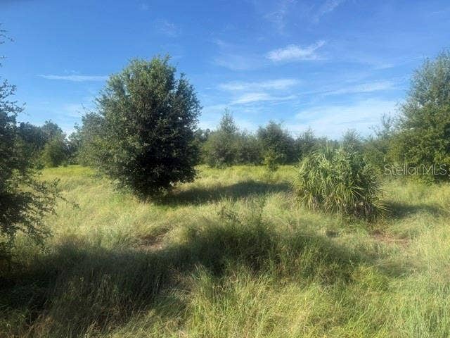 WELCOME ROAD, #Lot 1, Lithia, FL 33547 WELCOME ROAD, #Lot 1, Lithia, FL 33547