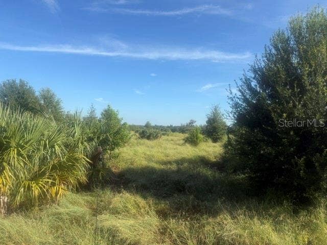 WELCOME ROAD, #Lot 2, Lithia, FL 33547 WELCOME ROAD, #Lot 2, Lithia, FL 33547