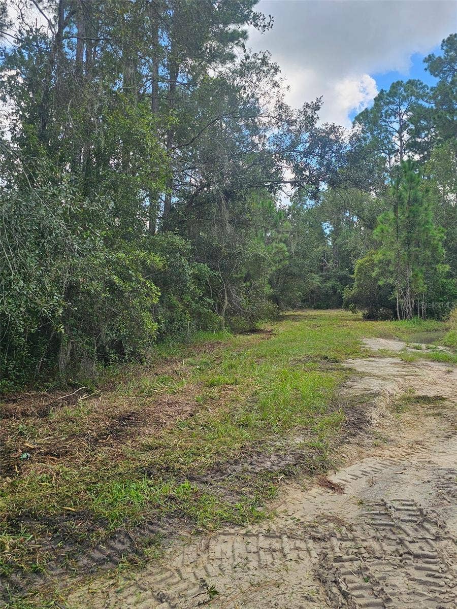 Property photo for 1746 COUNTRY WOODS DRIVE, Lakeland, FL